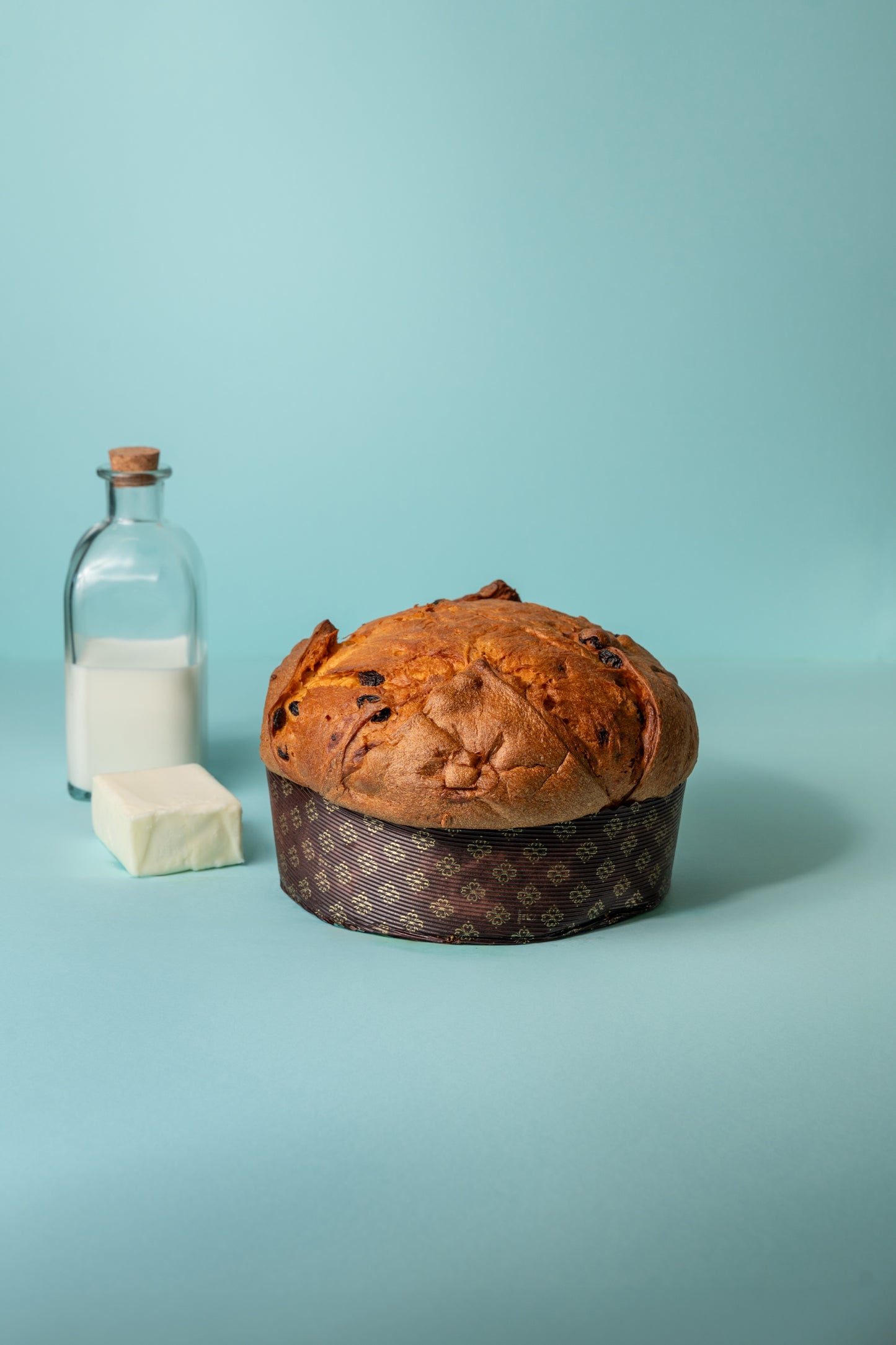 Classic buffalo mozzarella panettone