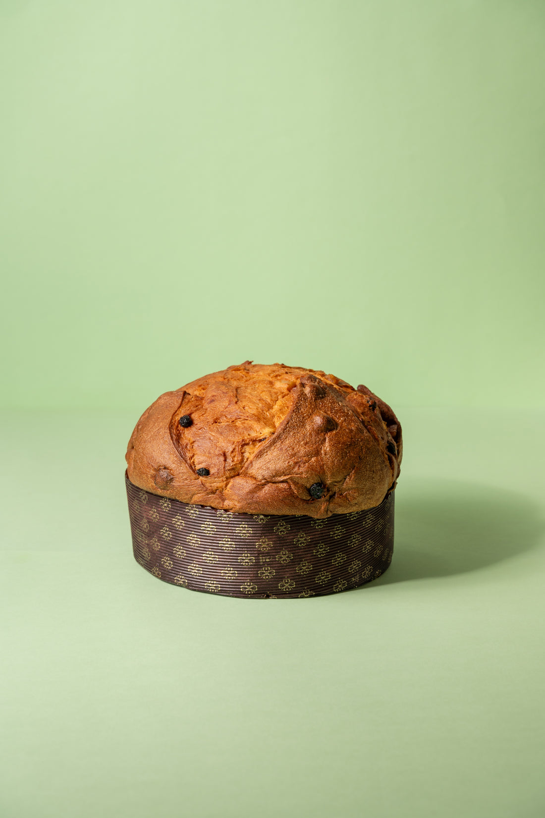 Classic Panettone