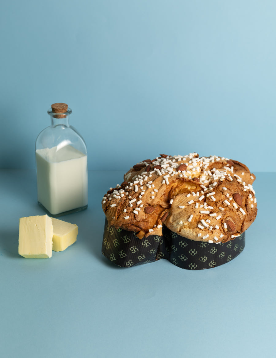 Almond Panettone