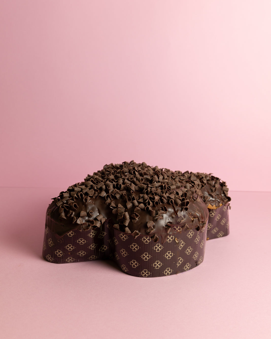 Chocolate Panettone