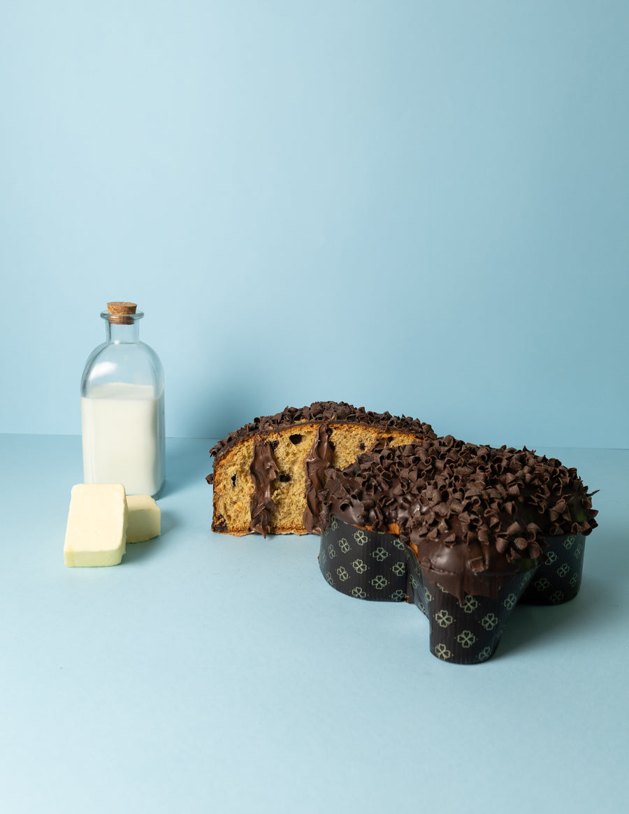 Chocolate buffalo panettone