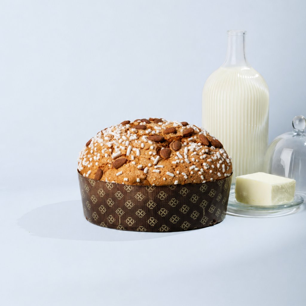 Classic buffalo mozzarella panettone